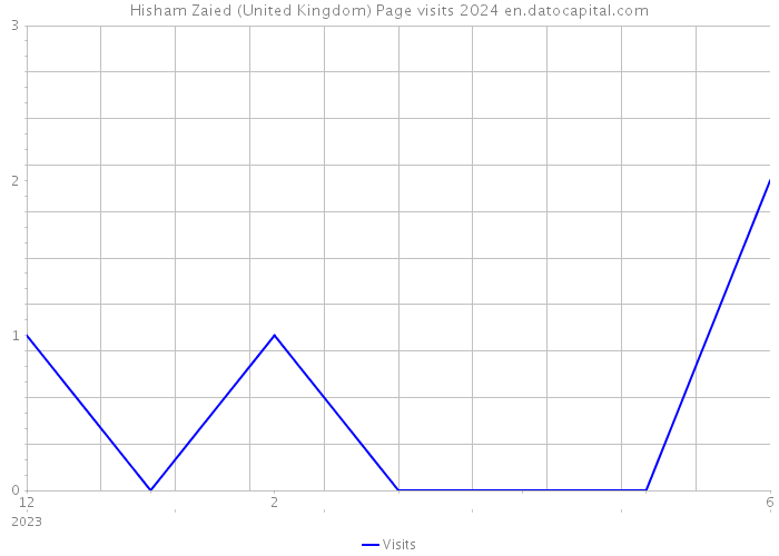 Hisham Zaied (United Kingdom) Page visits 2024 