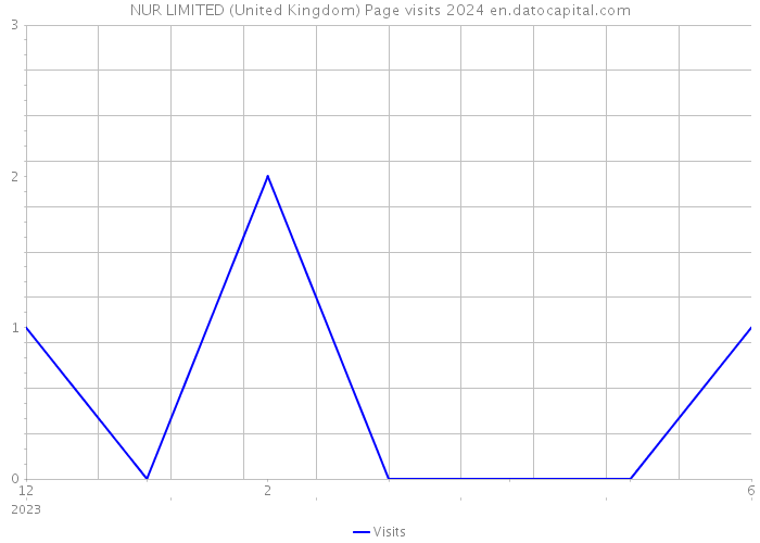 NUR LIMITED (United Kingdom) Page visits 2024 