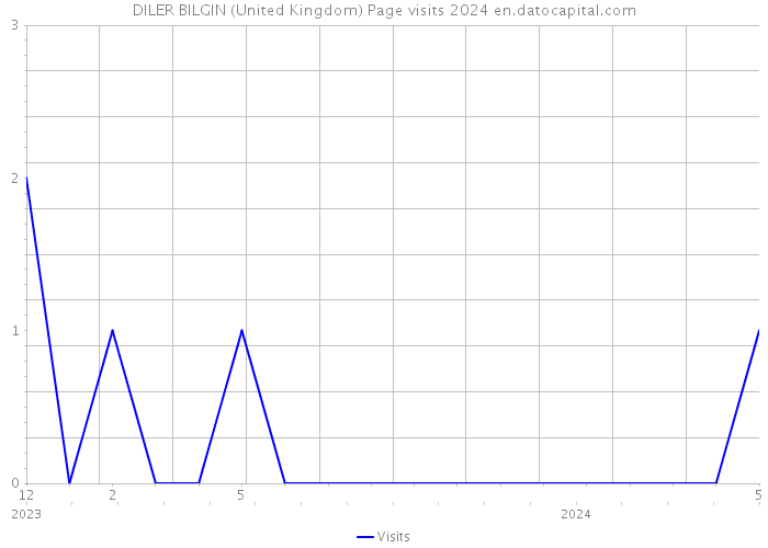 DILER BILGIN (United Kingdom) Page visits 2024 