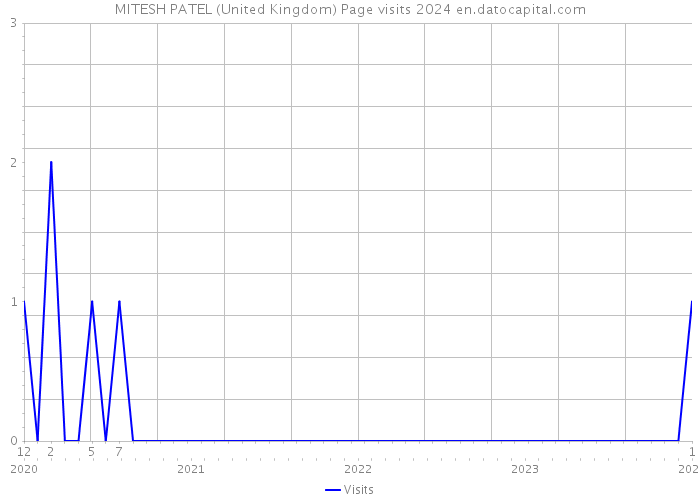 MITESH PATEL (United Kingdom) Page visits 2024 