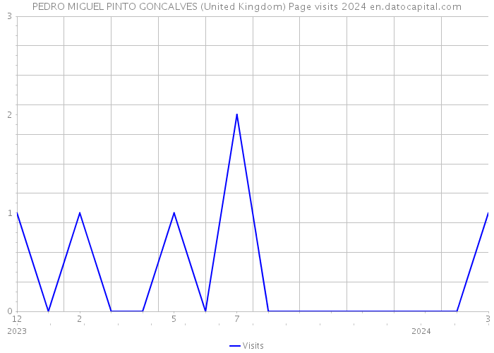 PEDRO MIGUEL PINTO GONCALVES (United Kingdom) Page visits 2024 