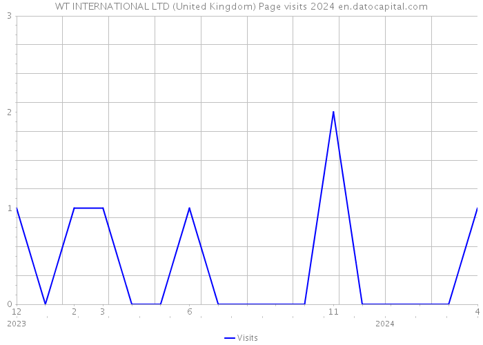 WT INTERNATIONAL LTD (United Kingdom) Page visits 2024 