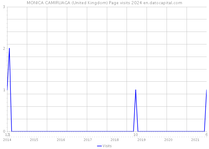 MONICA CAMIRUAGA (United Kingdom) Page visits 2024 