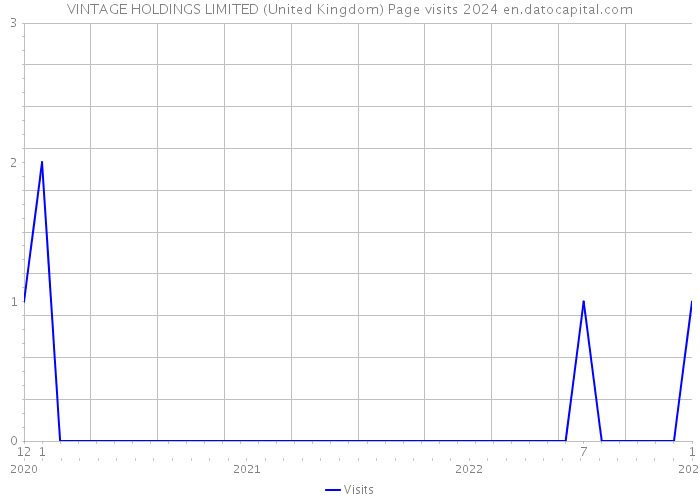 VINTAGE HOLDINGS LIMITED (United Kingdom) Page visits 2024 