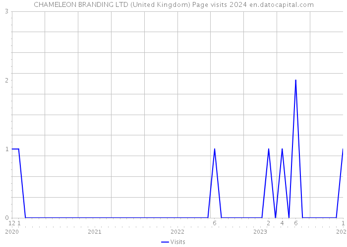 CHAMELEON BRANDING LTD (United Kingdom) Page visits 2024 