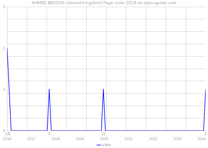 AHMED BENZINA (United Kingdom) Page visits 2024 