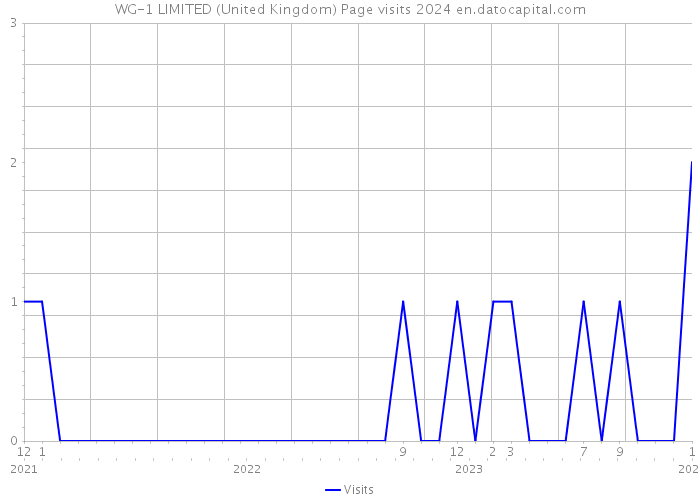 WG-1 LIMITED (United Kingdom) Page visits 2024 