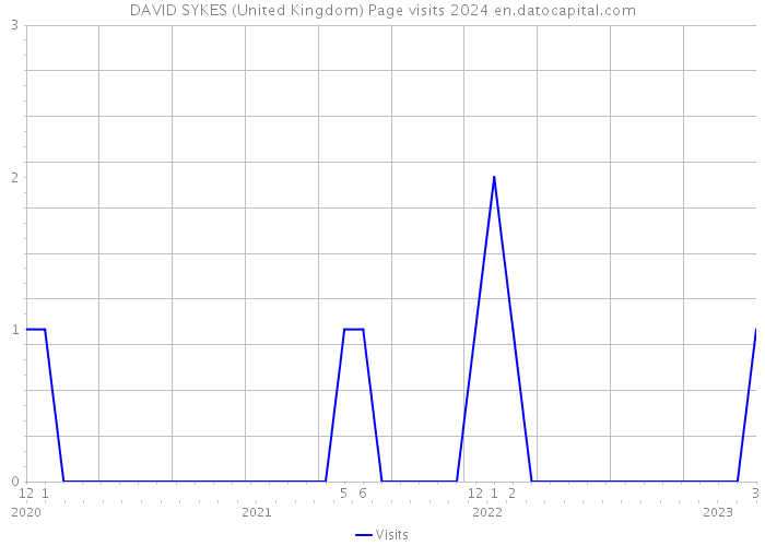 DAVID SYKES (United Kingdom) Page visits 2024 