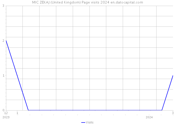 MIC ZEKAJ (United Kingdom) Page visits 2024 