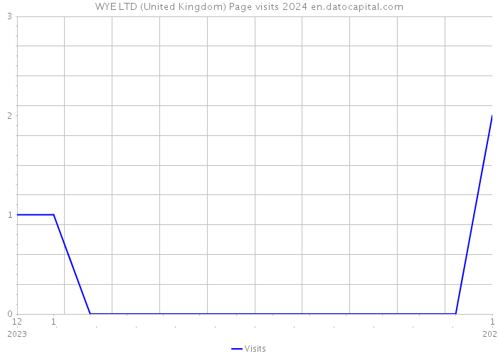 WYE LTD (United Kingdom) Page visits 2024 