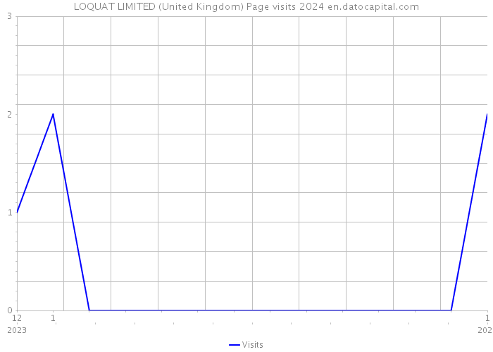LOQUAT LIMITED (United Kingdom) Page visits 2024 
