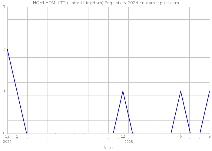 HOMI HOMI LTD (United Kingdom) Page visits 2024 