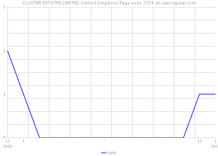 CLUSTER ESTATES LIMITED (United Kingdom) Page visits 2024 
