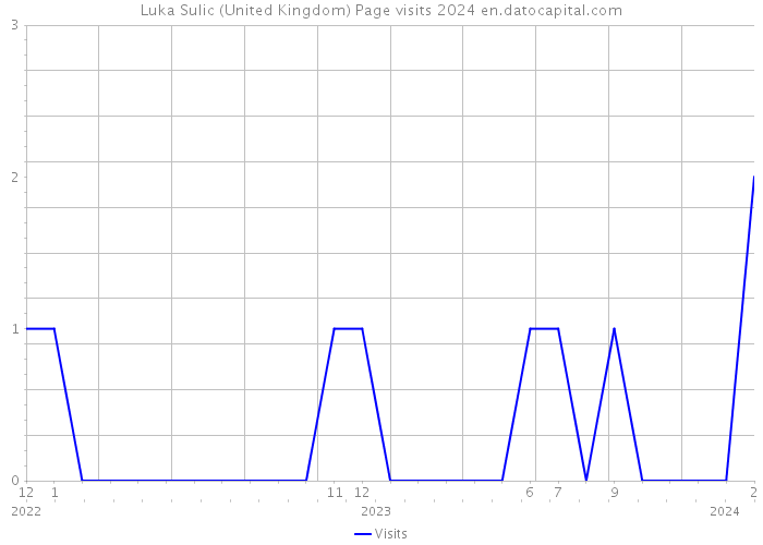 Luka Sulic (United Kingdom) Page visits 2024 