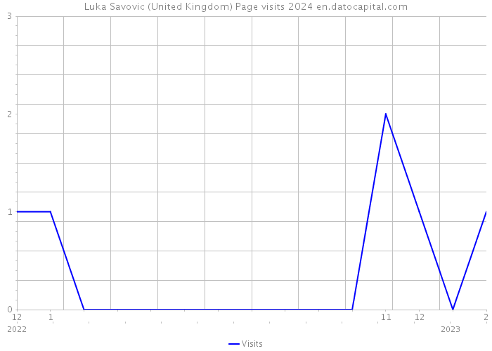 Luka Savovic (United Kingdom) Page visits 2024 