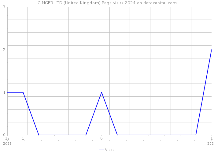 GINGER LTD (United Kingdom) Page visits 2024 