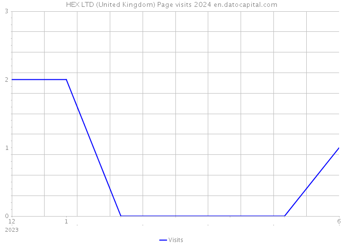 HEX LTD (United Kingdom) Page visits 2024 