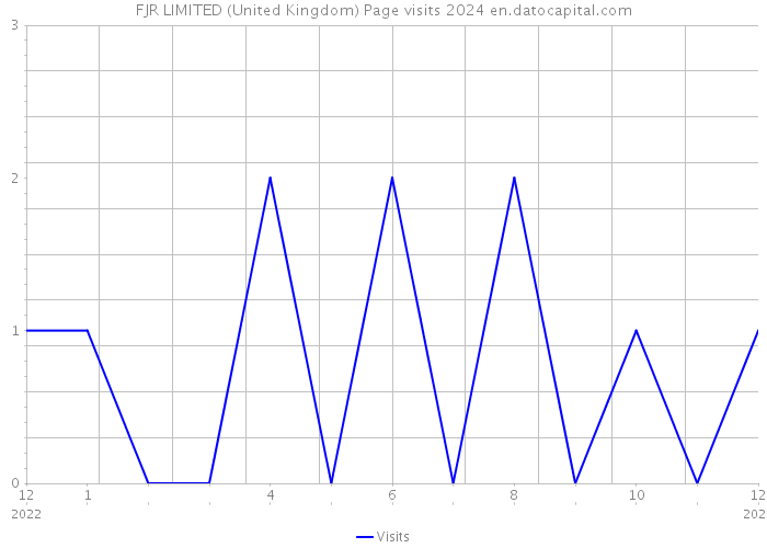 FJR LIMITED (United Kingdom) Page visits 2024 