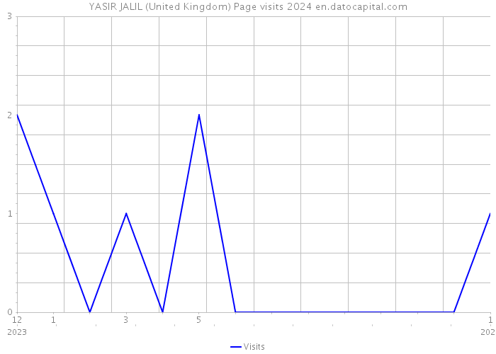 YASIR JALIL (United Kingdom) Page visits 2024 