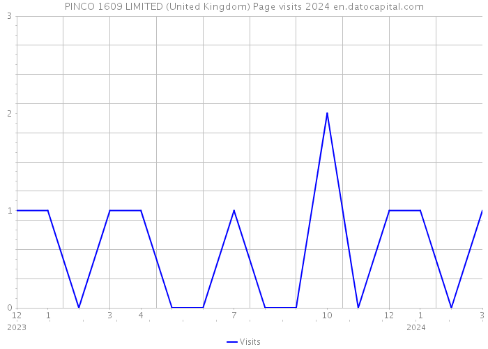 PINCO 1609 LIMITED (United Kingdom) Page visits 2024 