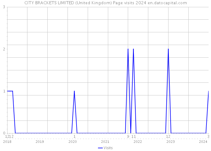 CITY BRACKETS LIMITED (United Kingdom) Page visits 2024 