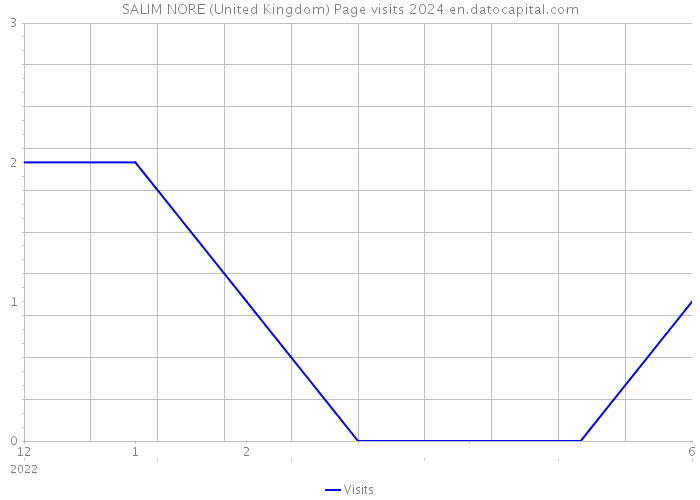 SALIM NORE (United Kingdom) Page visits 2024 
