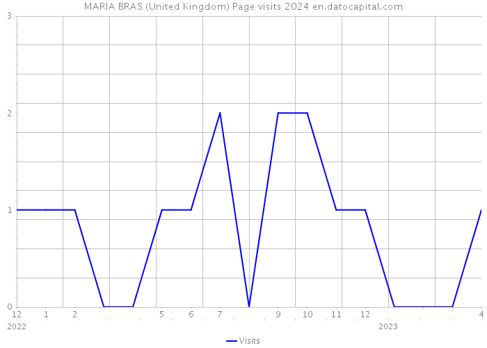 MARIA BRAS (United Kingdom) Page visits 2024 