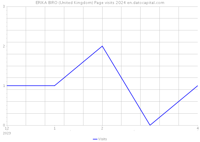ERIKA BIRO (United Kingdom) Page visits 2024 