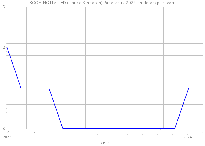 BOOMING LIMITED (United Kingdom) Page visits 2024 