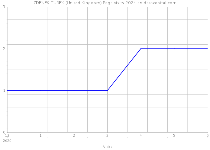 ZDENEK TUREK (United Kingdom) Page visits 2024 