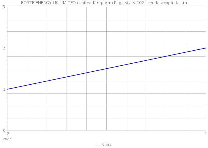 FORTE ENERGY UK LIMITED (United Kingdom) Page visits 2024 