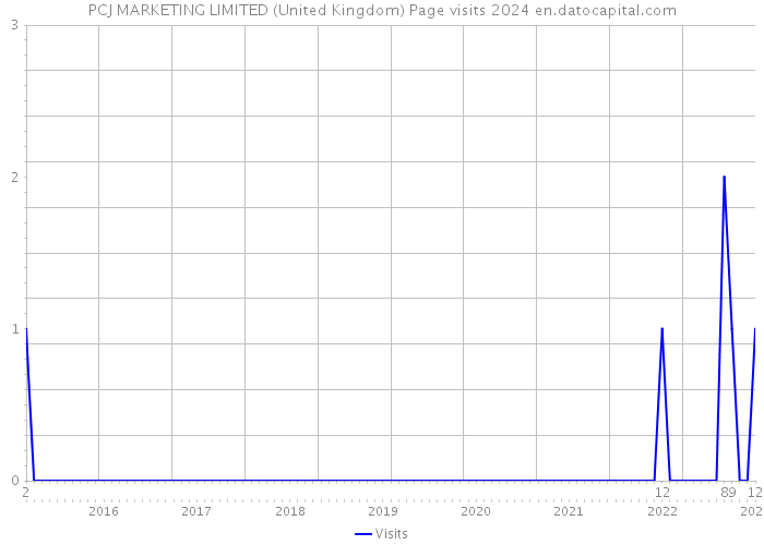 PCJ MARKETING LIMITED (United Kingdom) Page visits 2024 