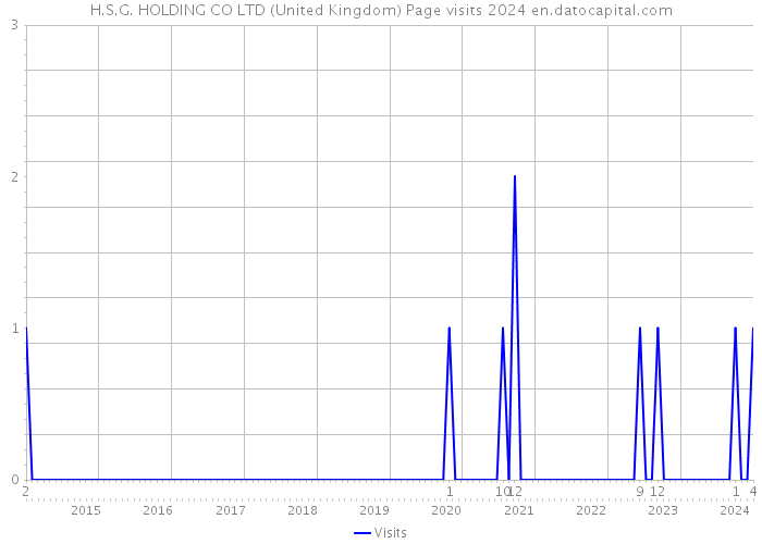 H.S.G. HOLDING CO LTD (United Kingdom) Page visits 2024 