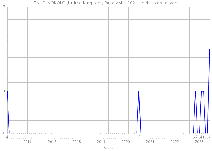 TANDI KOKOLO (United Kingdom) Page visits 2024 