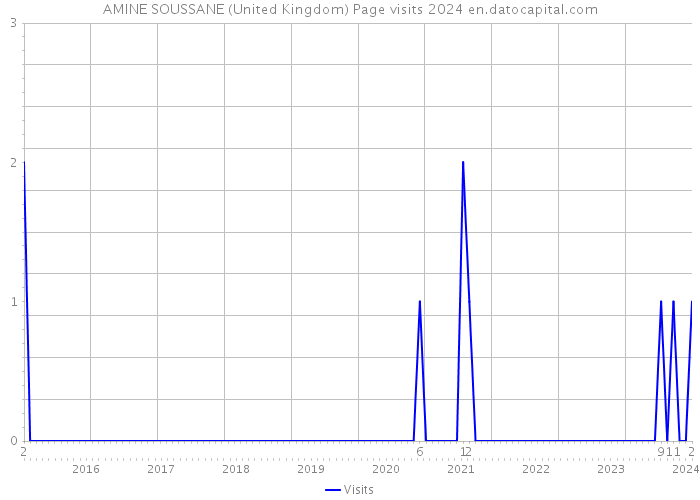 AMINE SOUSSANE (United Kingdom) Page visits 2024 