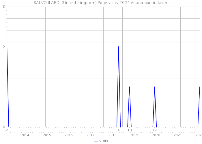 SALVO ILARDI (United Kingdom) Page visits 2024 