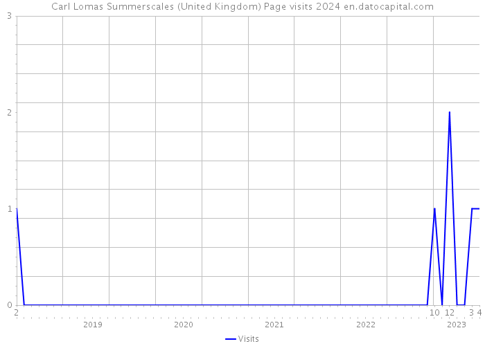 Carl Lomas Summerscales (United Kingdom) Page visits 2024 