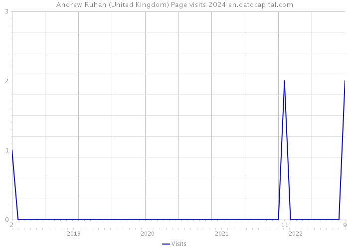 Andrew Ruhan (United Kingdom) Page visits 2024 