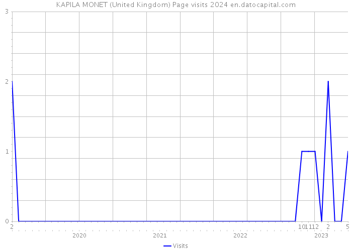 KAPILA MONET (United Kingdom) Page visits 2024 