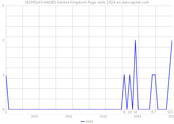 NICHOLAS HAINES (United Kingdom) Page visits 2024 