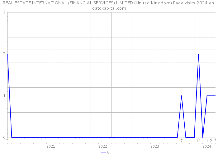 REAL ESTATE INTERNATIONAL (FINANCIAL SERVICES) LIMITED (United Kingdom) Page visits 2024 