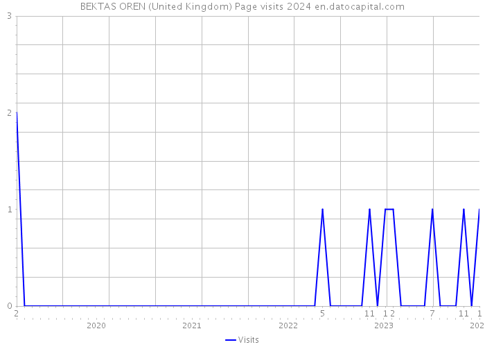 BEKTAS OREN (United Kingdom) Page visits 2024 