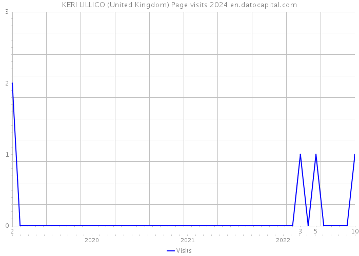KERI LILLICO (United Kingdom) Page visits 2024 