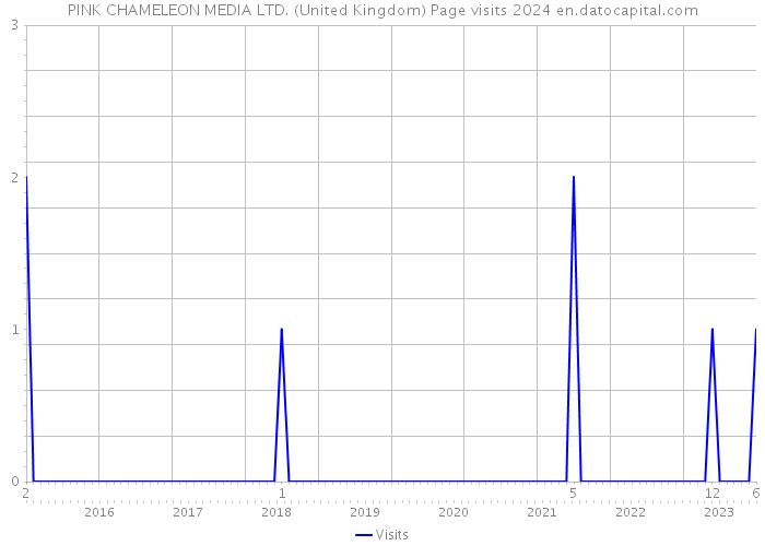 PINK CHAMELEON MEDIA LTD. (United Kingdom) Page visits 2024 