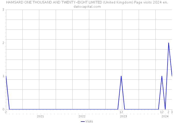 HAMSARD ONE THOUSAND AND TWENTY-EIGHT LIMITED (United Kingdom) Page visits 2024 