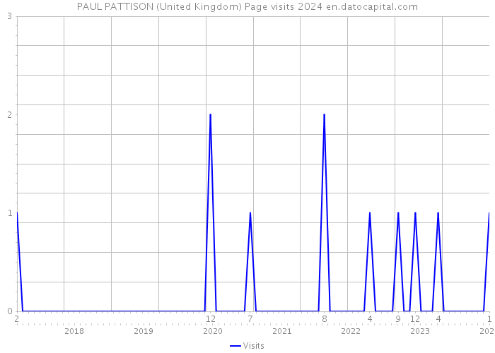 PAUL PATTISON (United Kingdom) Page visits 2024 