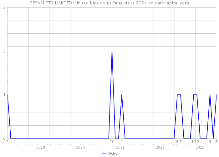 SESAM PTY LIMITED (United Kingdom) Page visits 2024 