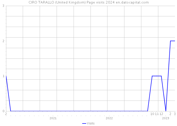 CIRO TARALLO (United Kingdom) Page visits 2024 