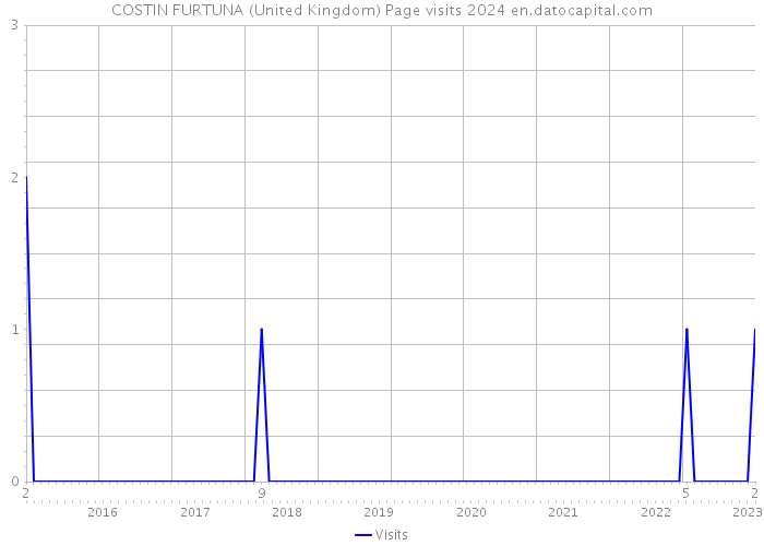 COSTIN FURTUNA (United Kingdom) Page visits 2024 