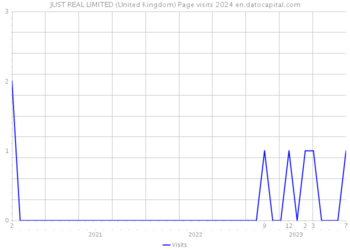 JUST REAL LIMITED (United Kingdom) Page visits 2024 